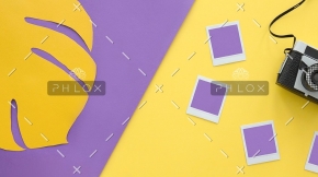 проектирование в экологии