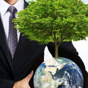 услуги экологической сертификации