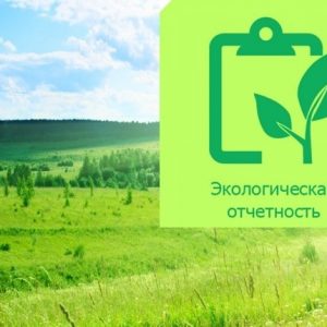 экологический отчет